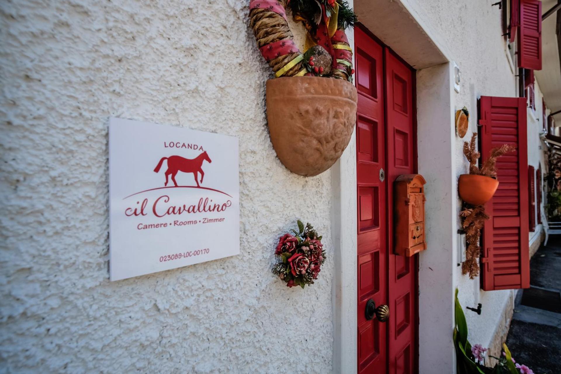 Il Cavallino